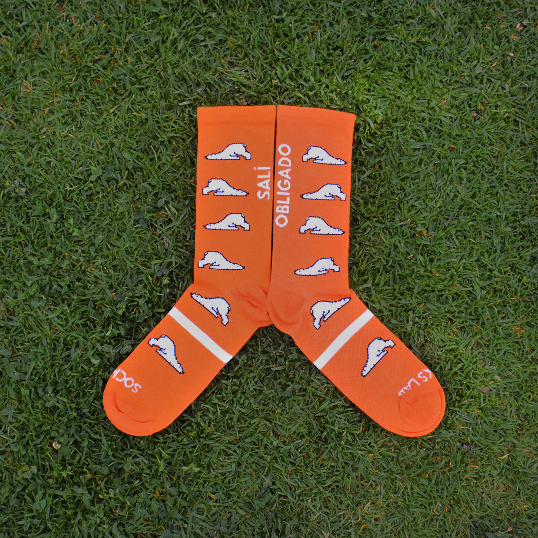 Calcetines deportivos - Oso Polar - Socks Lab