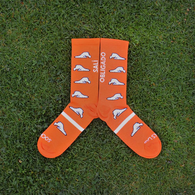 Calcetines deportivos - Oso Polar - Socks Lab